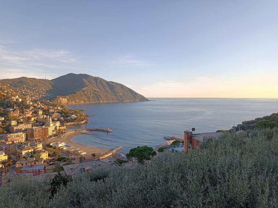 A Dream Codice Citra 010047-Lt-0161 Appartement Recco Buitenkant foto